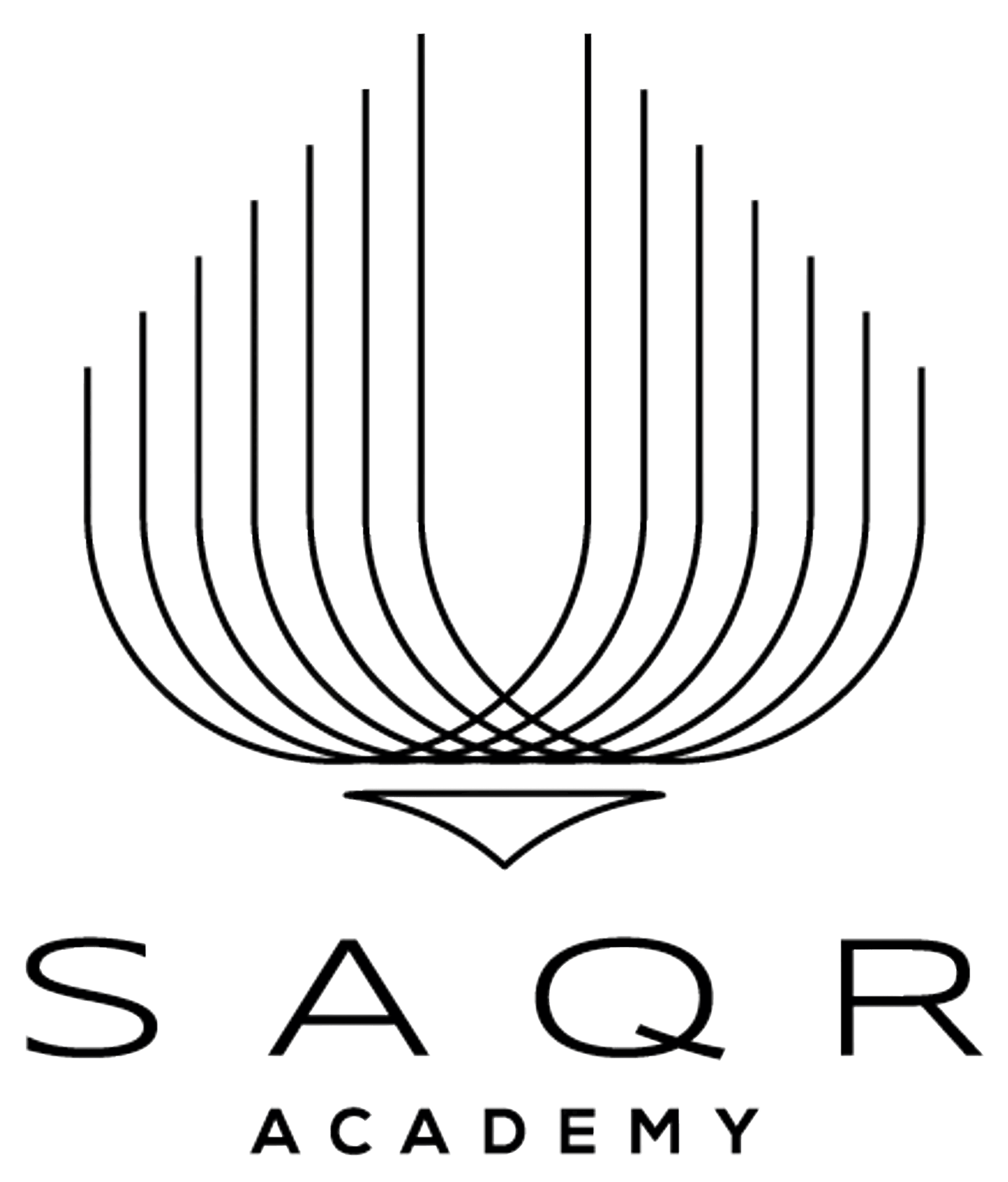 Saqr Academy